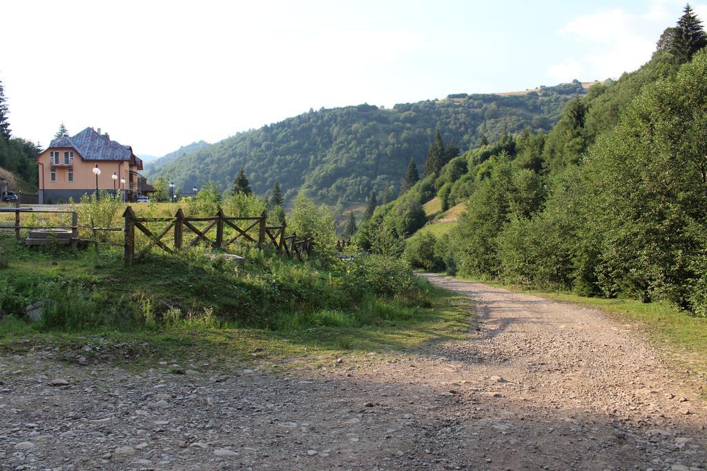 Petrivska Sloboda Mizhhirya (Transcarpathia) Exterior photo