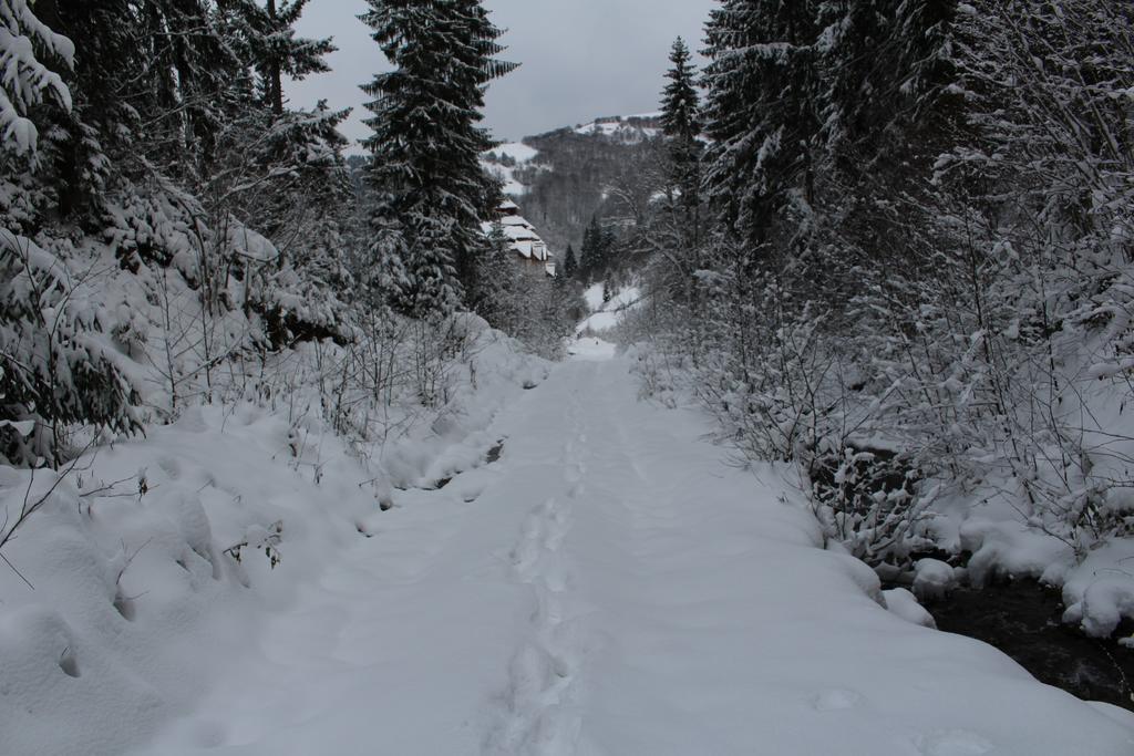 Petrivska Sloboda Mizhhirya (Transcarpathia) Exterior photo