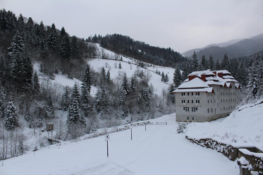 Petrivska Sloboda Mizhhirya (Transcarpathia) Exterior photo