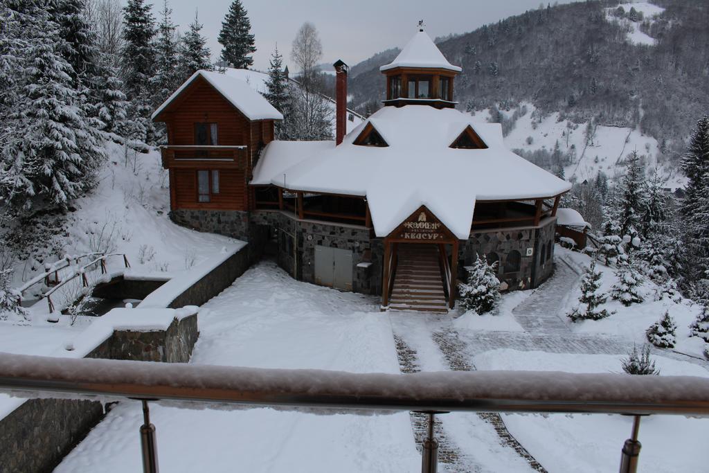 Petrivska Sloboda Mizhhirya (Transcarpathia) Exterior photo